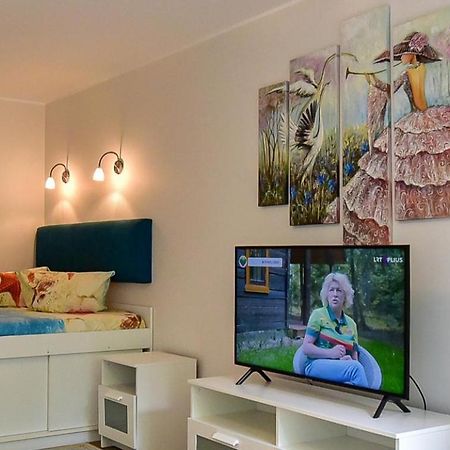 Stilingi Apartamentai Su Virtuve Traku Miesto Centre Trakai Bagian luar foto