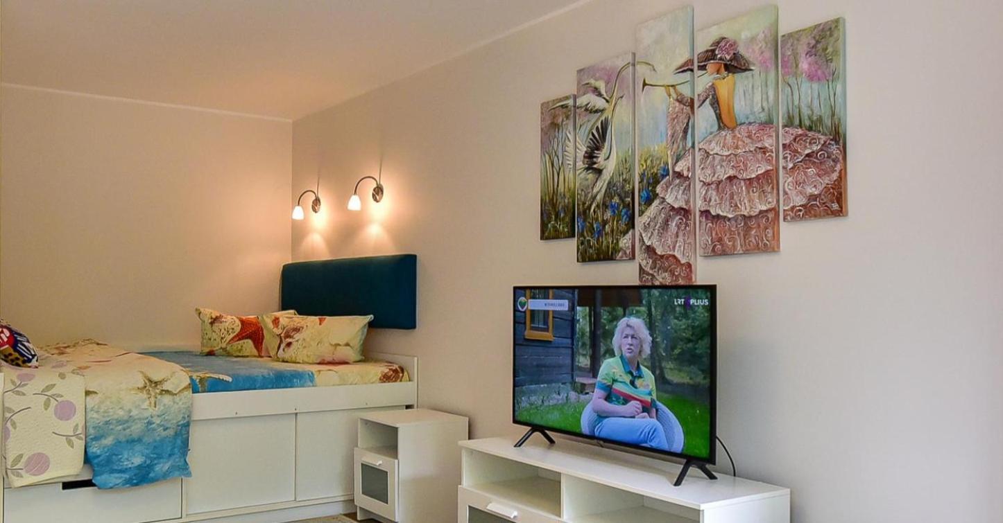 Stilingi Apartamentai Su Virtuve Traku Miesto Centre Trakai Bagian luar foto