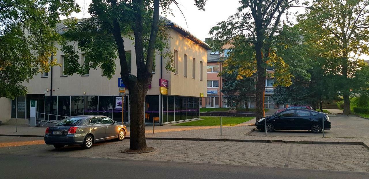 Stilingi Apartamentai Su Virtuve Traku Miesto Centre Trakai Bagian luar foto